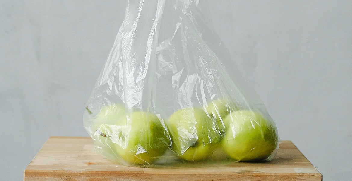LES PLASTIQUES A USAGE UNIQUE EN DEHORS DE LA MAISON