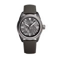 TIME TRAVELERS - GREY